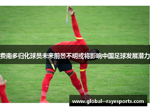 费南多归化球员未来前景不明或将影响中国足球发展潜力