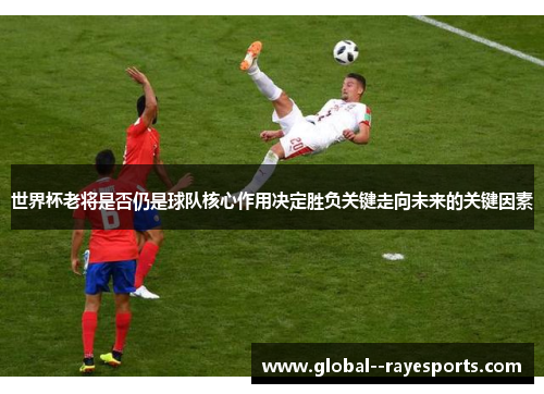 世界杯老将是否仍是球队核心作用决定胜负关键走向未来的关键因素