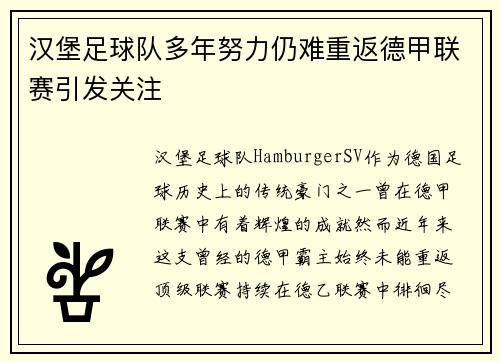 汉堡足球队多年努力仍难重返德甲联赛引发关注 汉堡足球队多年努力仍难重返德甲联赛引发关注